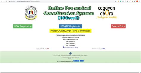 services.cagayandeoro.gov.ph.8087|8087 programs.